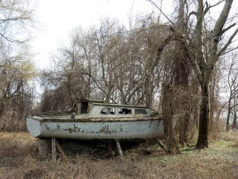 Rustic Old boat with trees Stock-Fotos