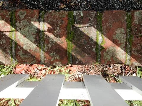 Rustic old brick moss pattern background lines Stock Photos