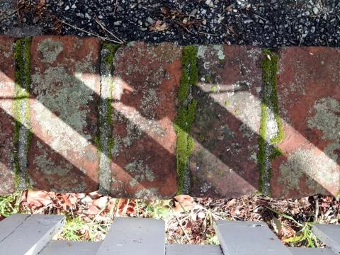 Rustic old brick moss pattern background lines Stock Photos