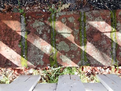 Rustic old brick moss pattern background lines Stock Photos