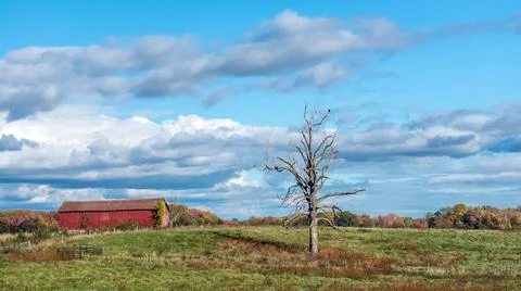 Rustic Old Red Barn in a Grassy Meadow on a Maryland Farm during Autumn with Foto stock