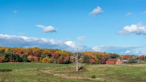 Rustic Old Red Barn in a Grassy Meadow on a Maryland Farm during Autumn with Foto stock