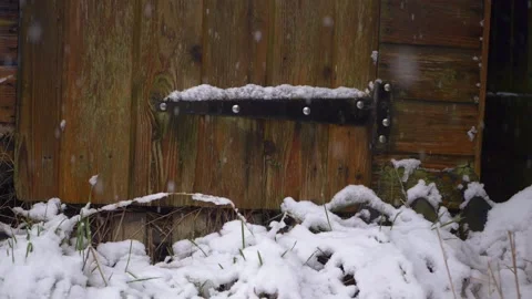 Rustic old shed in winter as snow falls Stock Footage 152615336