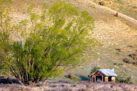 A Rustic Old Shelter Stock Photos