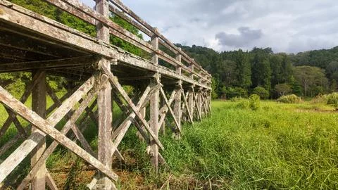 Rustic Old Wooden Bridge Structure with Lichen over Green Field Near Forest Stock Photos
