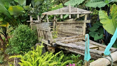 Rustic Old Wooden Wagon Decor Repurposed Among Exotic Tropical Foliage Stock-Footage 334040033