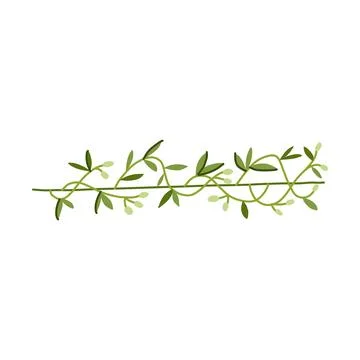 Rustic olive border divider cartoon vector illustration Illustrazione stock