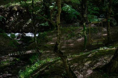 Rustic Open Air Pavilion in Dense Summer Forest Landscape. 스톡 사진