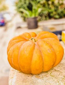 Rustic Orange Pumpkin on a Stone Surface Stock Photos