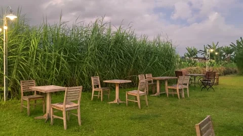 Rustic outdoor café tables in tropical countryside at sunset Stock Footage 318402201