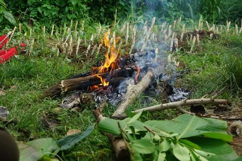 Rustic Outdoor Fire in Greenery Stock Photos