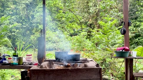 Rustic Outdoor Kitchen with Wood Fire Cooking in Lush Jungle Stock Footage 336584144