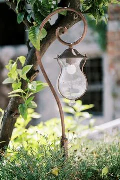 Rustic Outdoor Lantern Among Lush Greenery Stock Photos