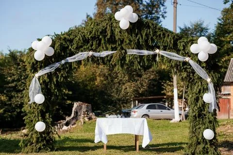 Rustic Outdoor Wedding Arch Decorated with Pine Branches and White Balloons.. Stock Photos