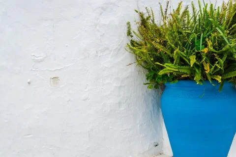 Rustic painted pot with flower Stock Photos