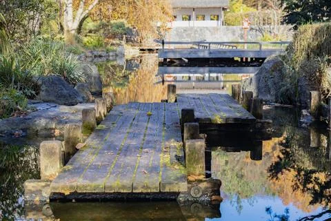 Rustic Path Over Calm Pond Stock Photos