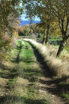 Rustic Path Through Autumn Forest. Allin Valley, Navarra, Spain Stock Photos