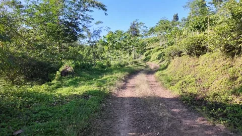 Rustic path winds through lush green hills Stock Footage 345153205