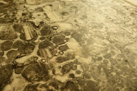 Rustic pattern. Stock Photos