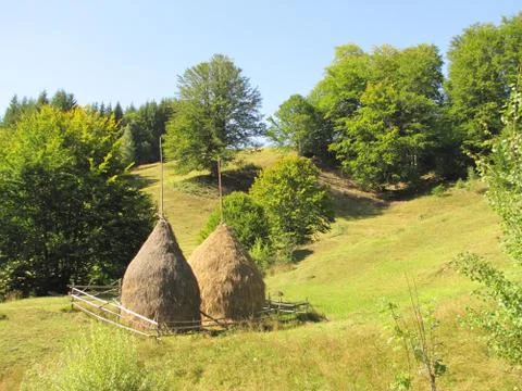 Rustic Peisage Stock Photos