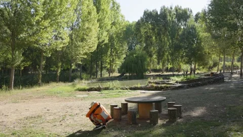 Rustic Picnic Area in a Shaded Green Woodland Park 库存影片 346066508