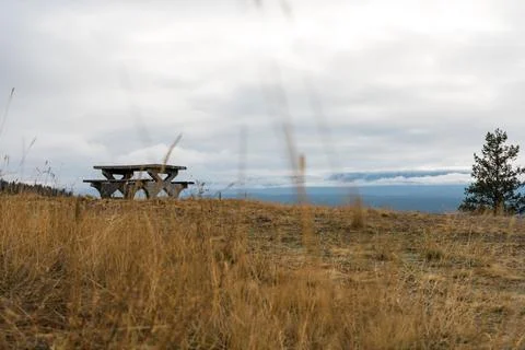 A rustic picnic table on a golden grassy hill under a cloudy sky. Stock Photos