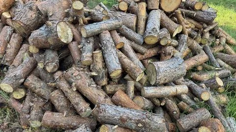 Rustic Pile of Rough Cut Pine Logs and Firewood Stock Photos