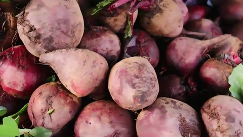 Rustic pile of whole unwashed beetroots Stock Footage 338168784