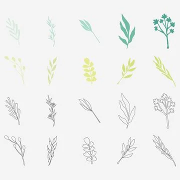 Rustic Plant Ornament Collection Set Stock Illustration