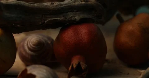 Rustic Pomegranate and Snail Shell Still Life. Stock Footage 260344881