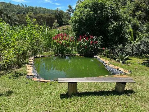 Rustic pond in lush garden Stock Photos
