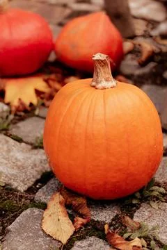 Rustic Pumpkin Display in Fall Setting Foto stock
