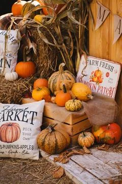 Rustic Pumpkin Patch with Hay and Farmhouse Decorations Stockfoto's
