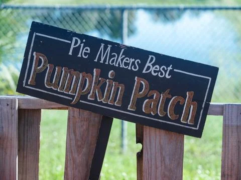 Rustic Pumpkin Patch Sign Shares a Playful Autumn Message Stock Photos
