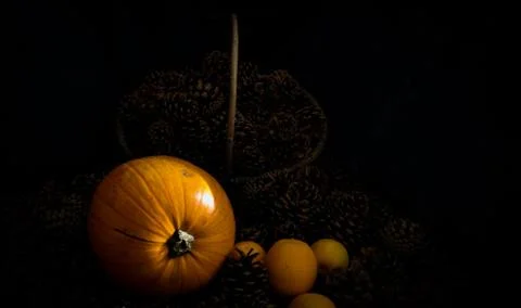 Rustic Pumpkin setting in pine cones  natural setting Stock Photos