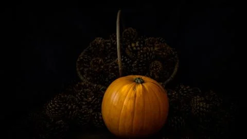 Rustic Pumpkin setting in pine cones  natural setting Stock Photos
