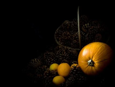 Rustic Pumpkin setting in pine cones  natural setting Foto stock