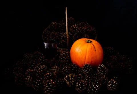 Rustic Pumpkin setting in pine cones  natural setting Foto stock