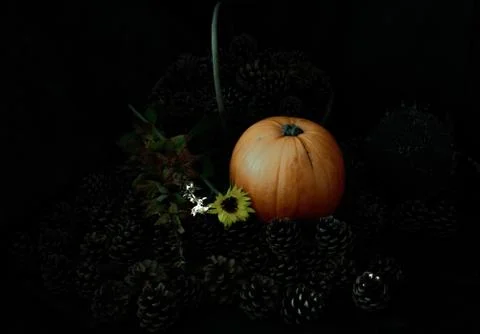 Rustic Pumpkin setting in pine cones  natural setting Foto stock