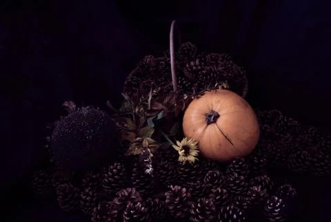 Rustic Pumpkin setting in pine cones  natural setting Stock Photos