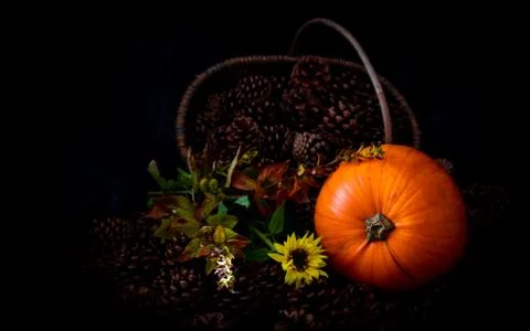 Rustic Pumpkin setting in pine cones  natural setting Stock Photos