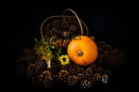 Rustic Pumpkin setting in pine cones  natural setting Stock Photos