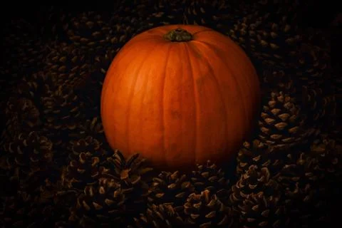 Rustic Pumpkin setting in pine cones  natural setting Foto stock