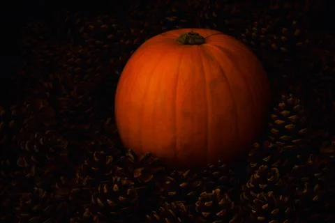 Rustic Pumpkin setting in pine cones  natural setting Stock Photos