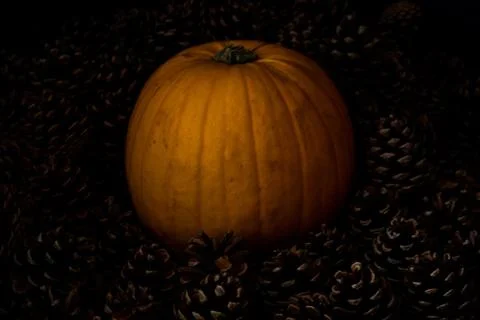Rustic Pumpkin setting in pine cones  natural setting Stock Photos