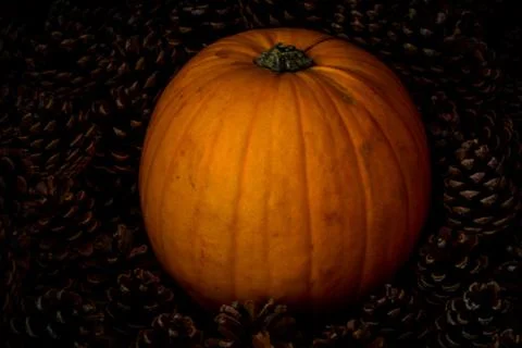 Rustic Pumpkin setting in pine cones  natural setting Foto stock