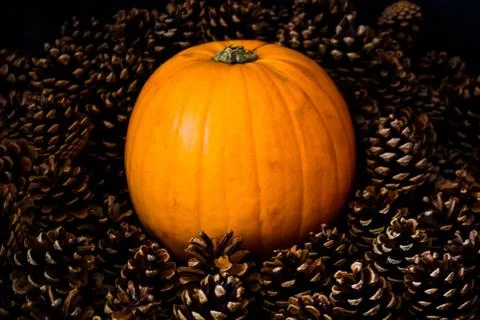 Rustic Pumpkin setting in pine cones  natural setting Stock Photos