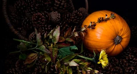 Rustic Pumpkin setting in pine cones  natural setting Foto stock