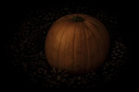 Rustic Pumpkin setting in pine cones  natural setting Stock Photos