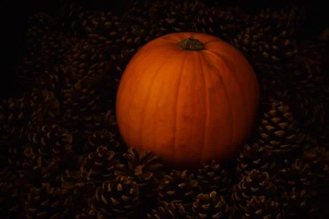 Rustic Pumpkin setting in pine cones  natural setting Stock Photos